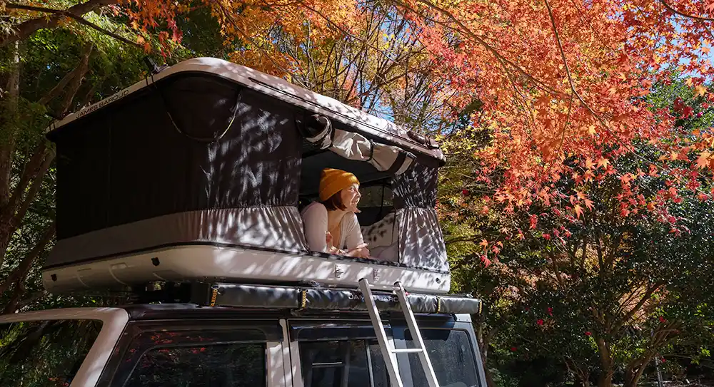 Hard shell rooftop tent