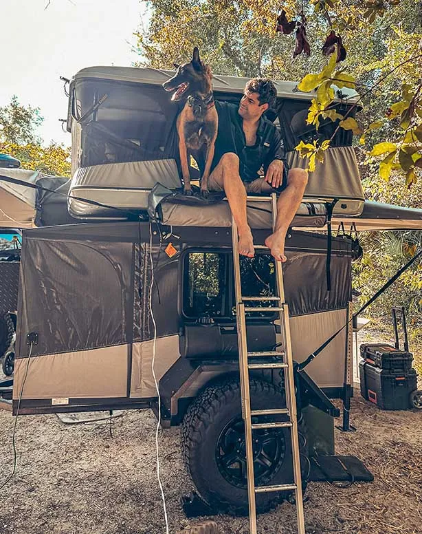 large dog in rooftop tent