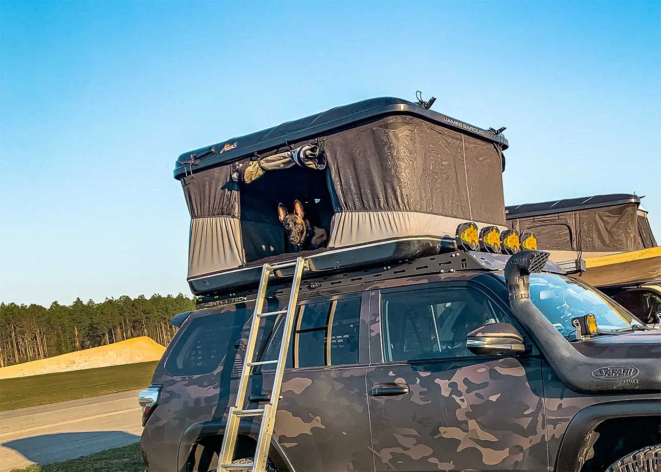 rooftop tent camping with a dog