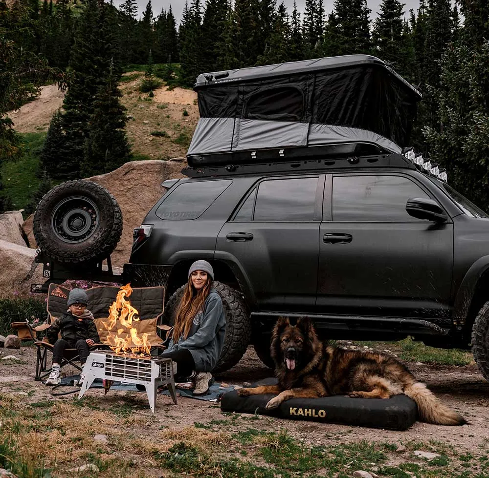 very large dog sleeping outside of rooftop tent