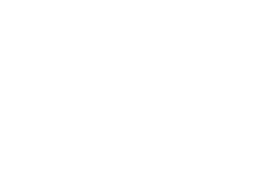 Switchback Travel logo