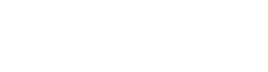 Vanlifemag.de logo