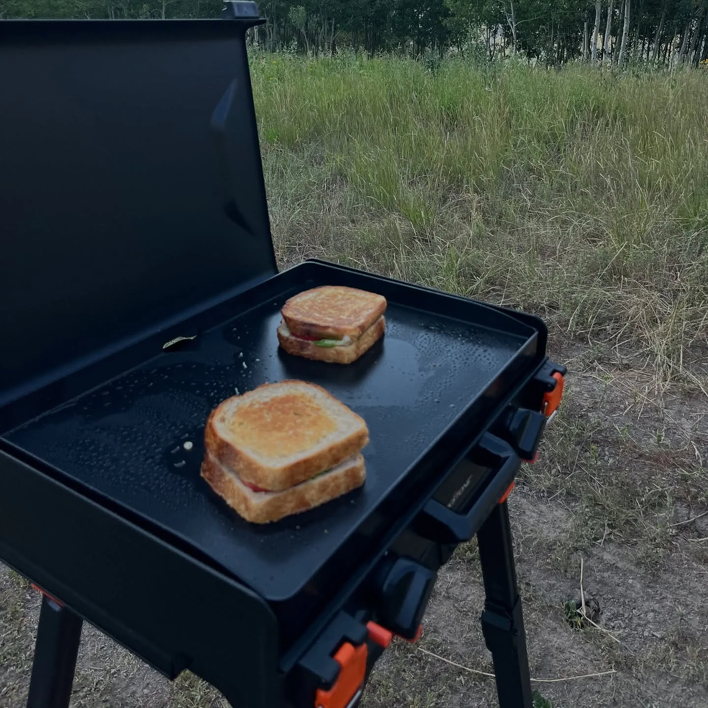 Mack grilling some veggies